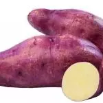 Batata Doce Roxa