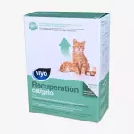 Viyo Recuperation (felino)