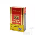 Gudang Garam