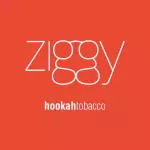Essência ziggy