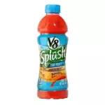 V8 SPLASH