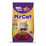 MR CAT