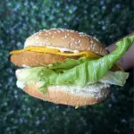 Chicken salada