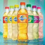Agua saborizada