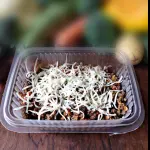 Macarrão á Bolonhesa 180g