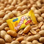 Pacoquinha