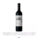 Bodega Estancia Mendoza Merlot Malbe