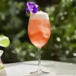 ENCANTADOR