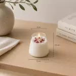 Conico Mini