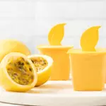Passion Fruit Ice Cream (MARACUYA)