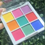 Paleta De Pigmento Em Pó