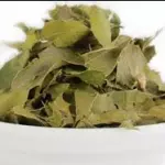 Espinheira Santa
