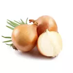Cebola Branca