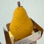 Entremet Pera Melão