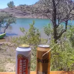 Bebidas alcohólicas
