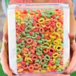 FRUITS RINGS