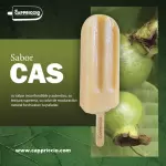 Paleta de Cas