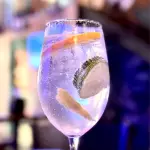 GIN AND TONIC