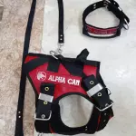 Conjunto Táctico AlphaCan