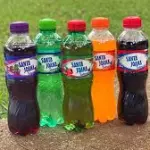 Rochedinho guaraná 250ml
