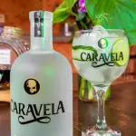 Gin Tonic