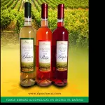 D´ PACHECO RESERVA
