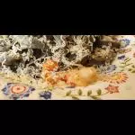 Fettucc. Negro Calamares y Camarones