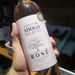 VINHO SELEÇÃO ROSE