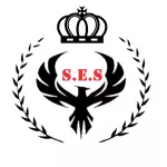 20 salgados
