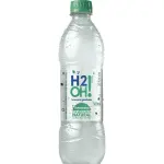 H20