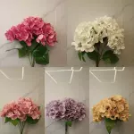 FLORES 0166A-5