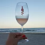 Taça Vinho (em Acrílico)