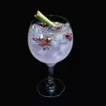 GIN  TONIC