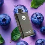Blueberry Mint 33