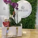 Elegante