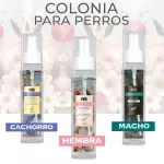 COLONIA PARA PERROS