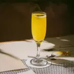 Mimosa clásica