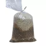 Mix Sementes c/ Quinoa 300g