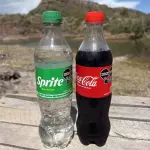 Bebidas