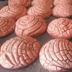 Concha  Sin Relleno