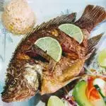 Tilapia frita