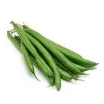 Ejote