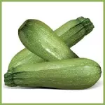 ZUQUINI UND