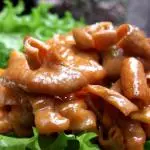 INTESTINO DE CERDO MARINADO 五香肥肠