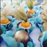 Copinho de phisalys 10unidades
