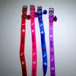 Collar de Silicona