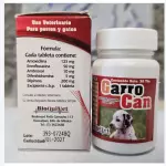 Garrocan