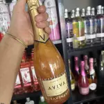 Aviva Gold