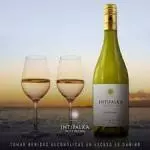 Copa Vino Chardonnay