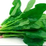 Espinaca